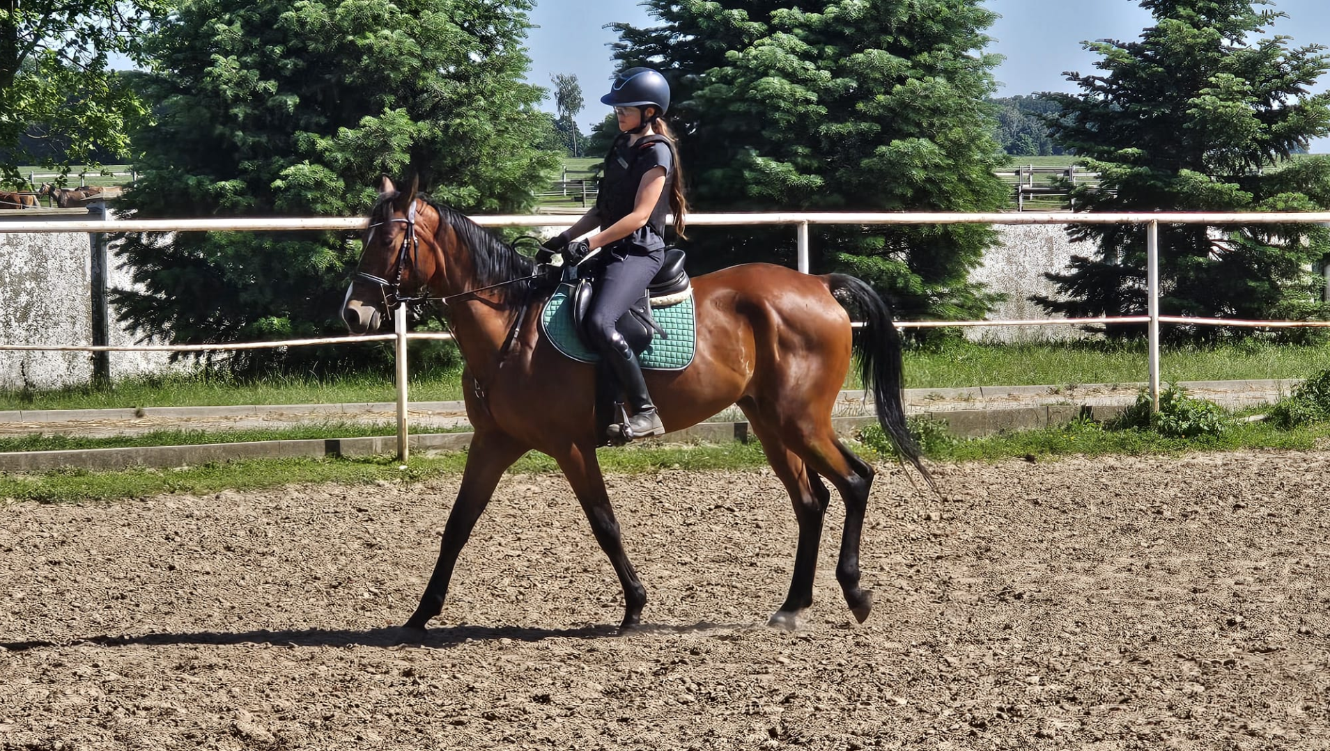 Mooie, jonge ruin - recent gekeurd