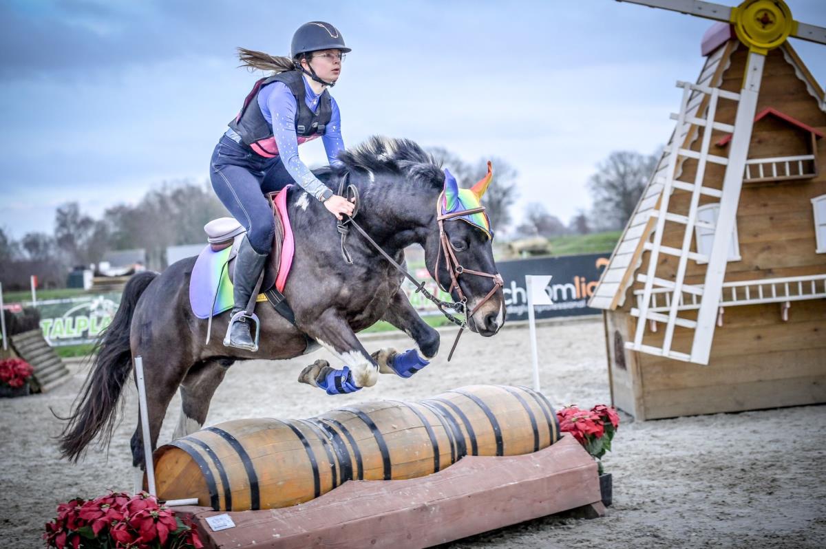 Ervaren springpony te koop