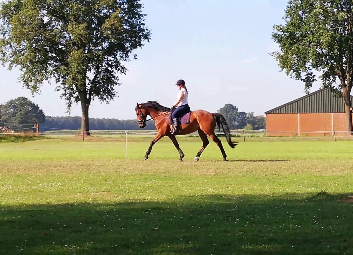 9 jarige ruin