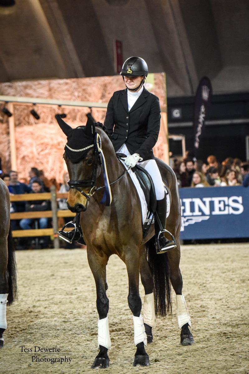 Tallentvolle dressuurmerrie Ginger (Silvano X Rous