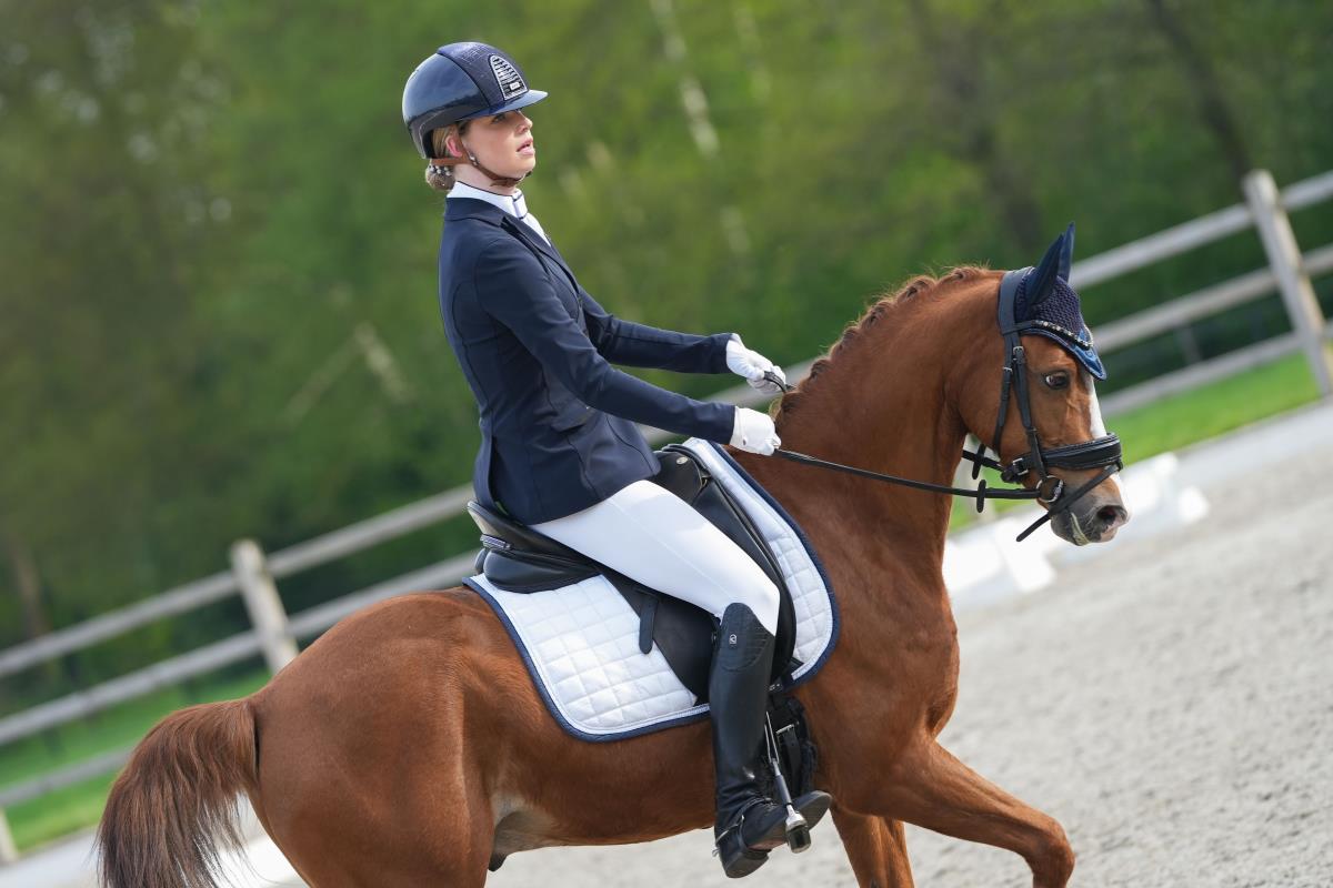 Lieve, knappe Z1 sportpony Hunk
