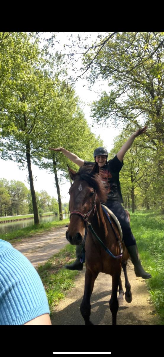 Brave merrie
