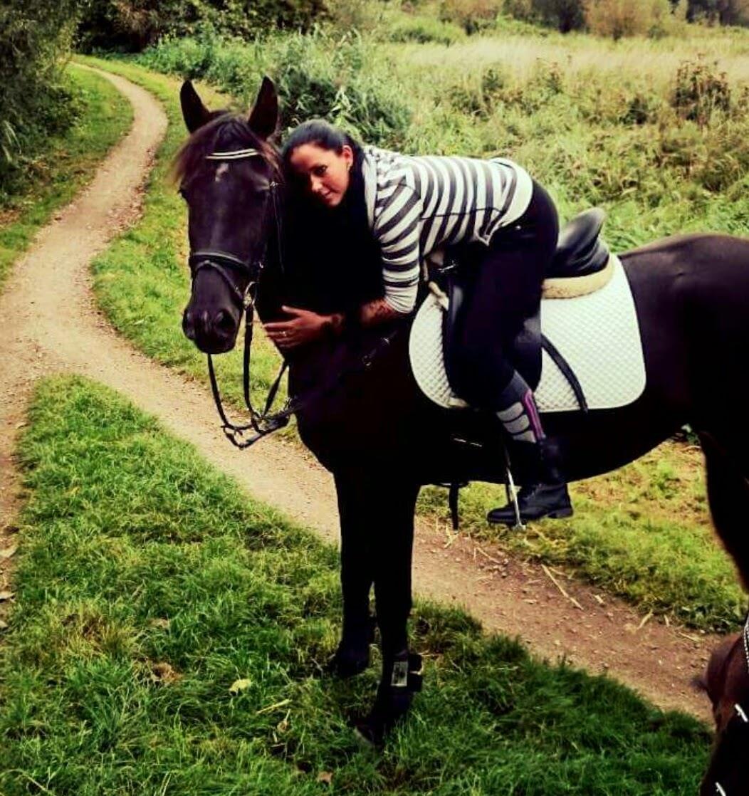 Lieve merrie (FriesxArabier)