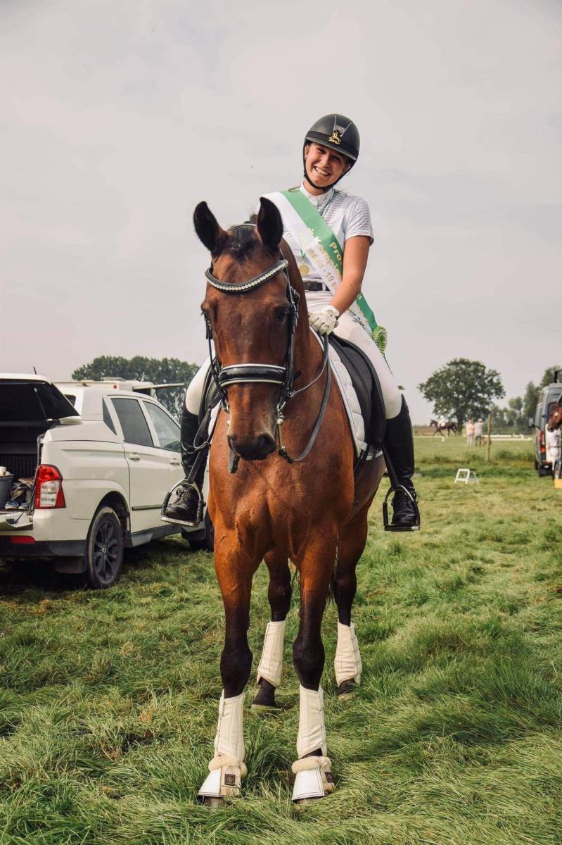 Tallentvolle dressuurmerrie Ginger (Silvano X Rous