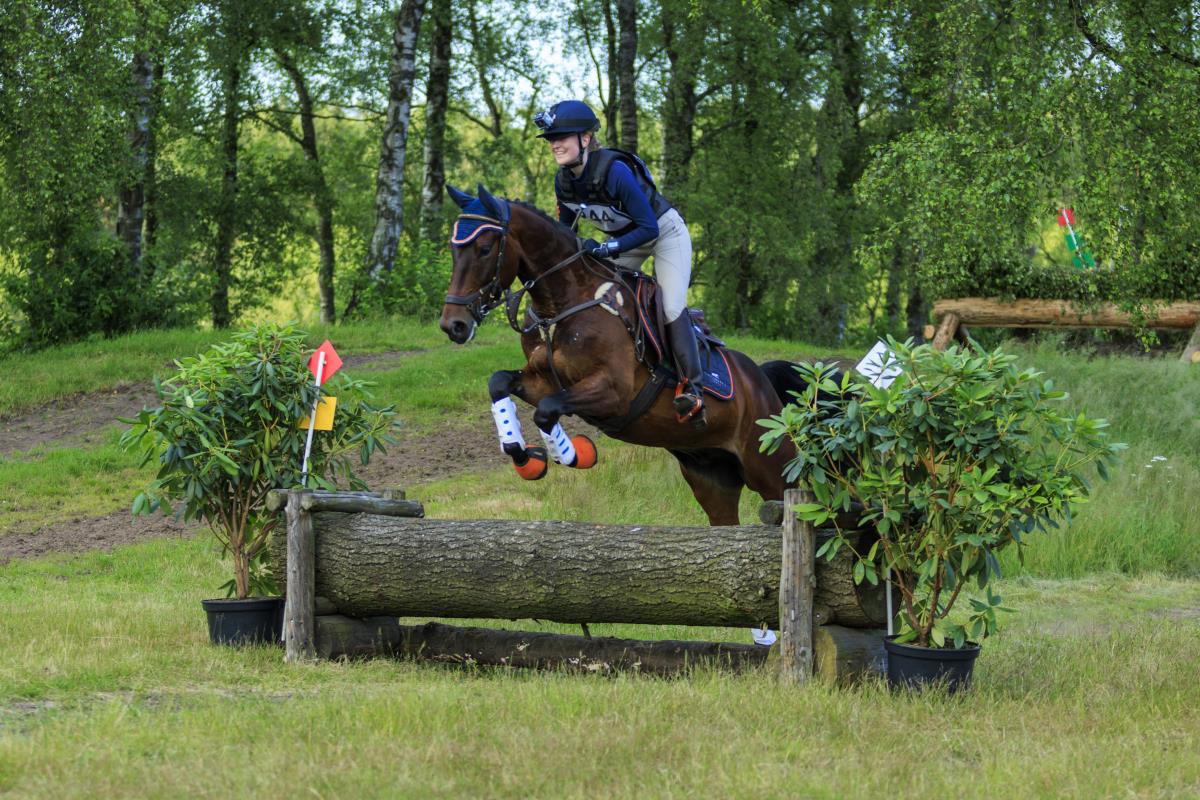 Allround 5 jarige ruin