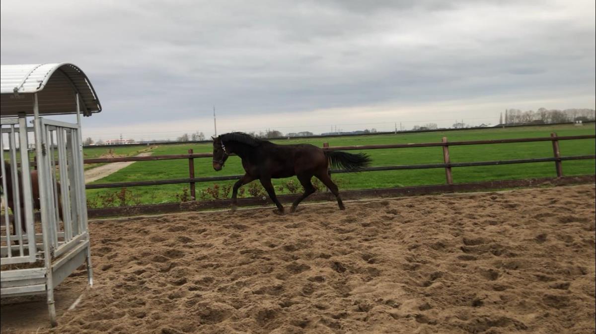 Belofte voor de toekomst