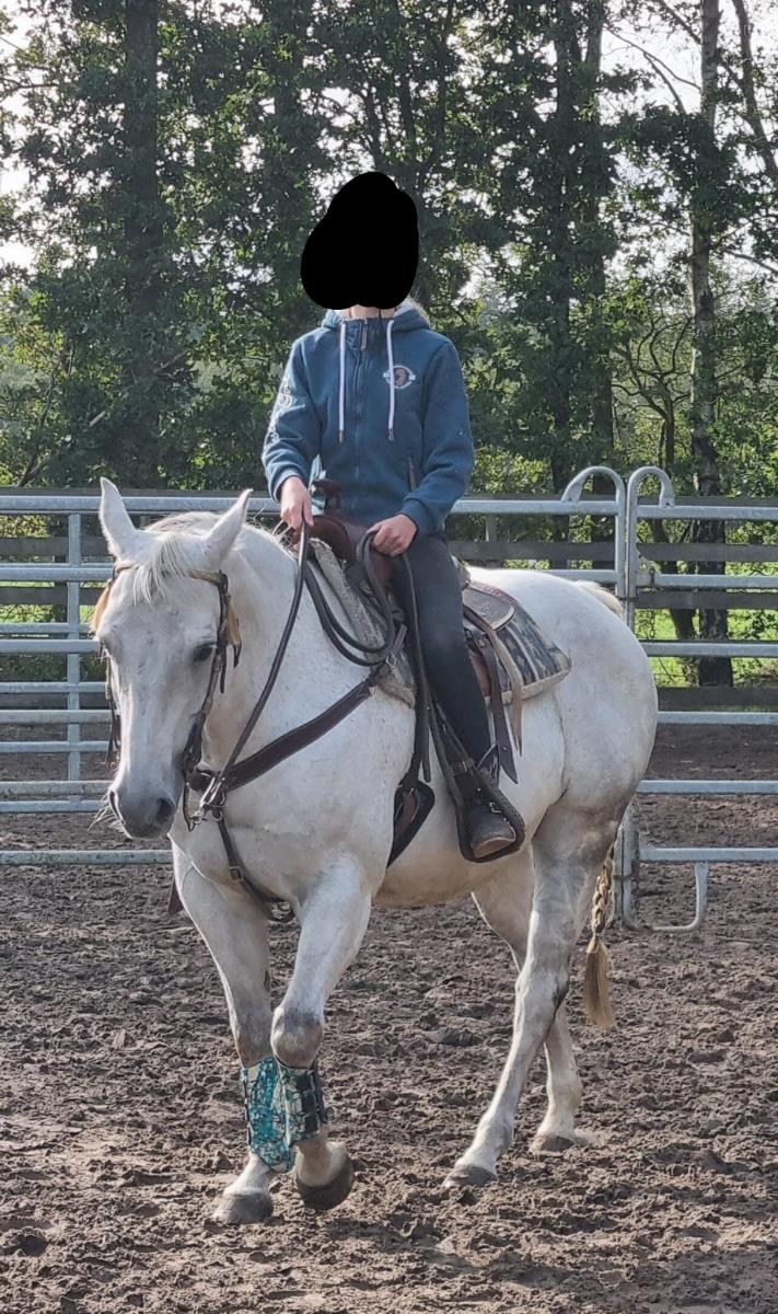Kiowas Xanadu, Am. Quarter Horse, sport-merrie