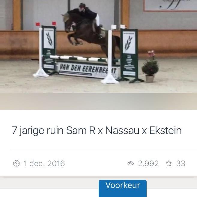 Sam R x Nassau x Ekstein