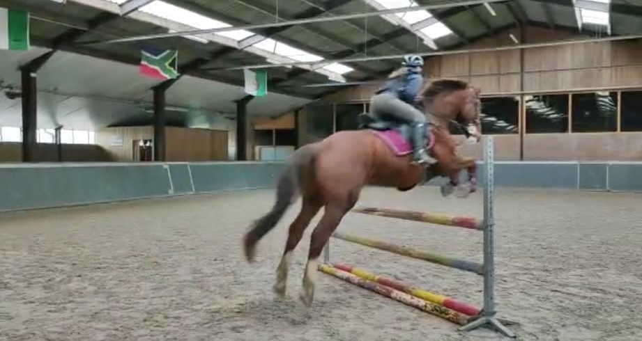 Lieve allrounder