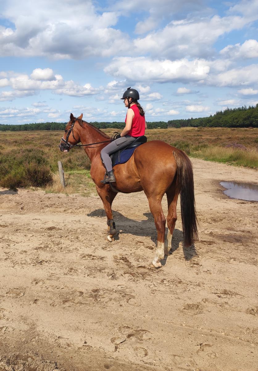 Lieve allrounder