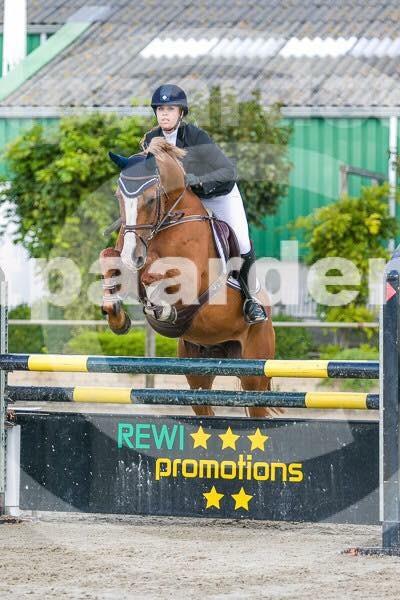 Prachtige Champion Du lys zoon