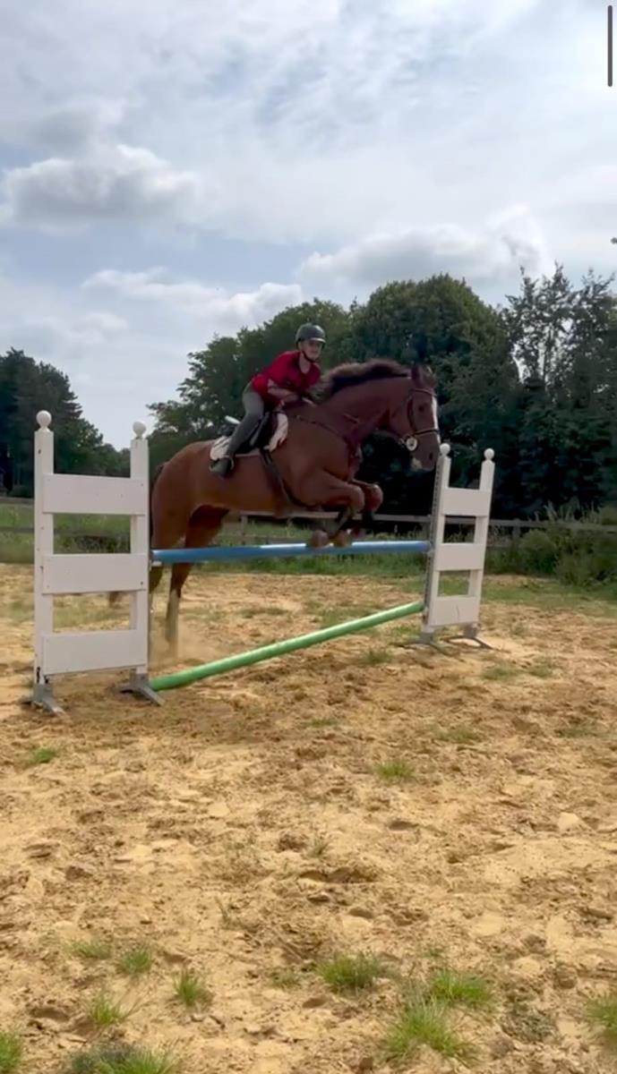 Lieve allrounder