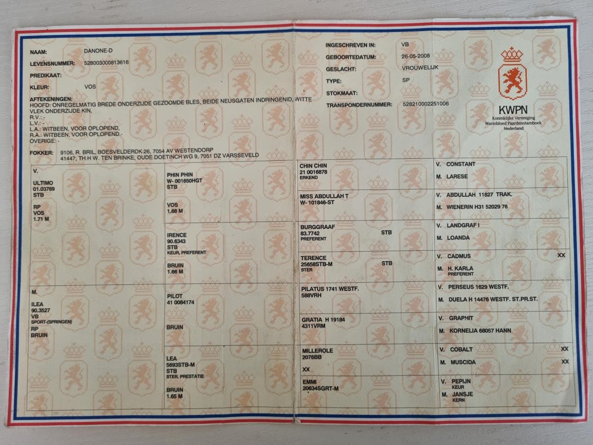 Mooi merrieveulen