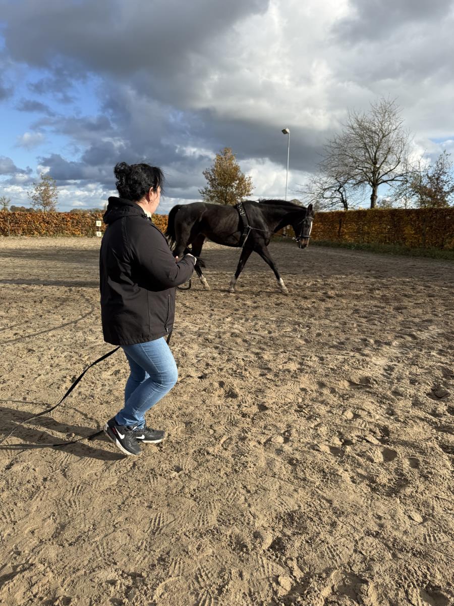 Lieve 8 jarige ruin 