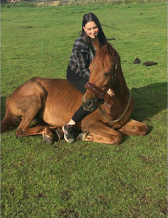 Hele lieve E-pony met al zijn toebehoren!