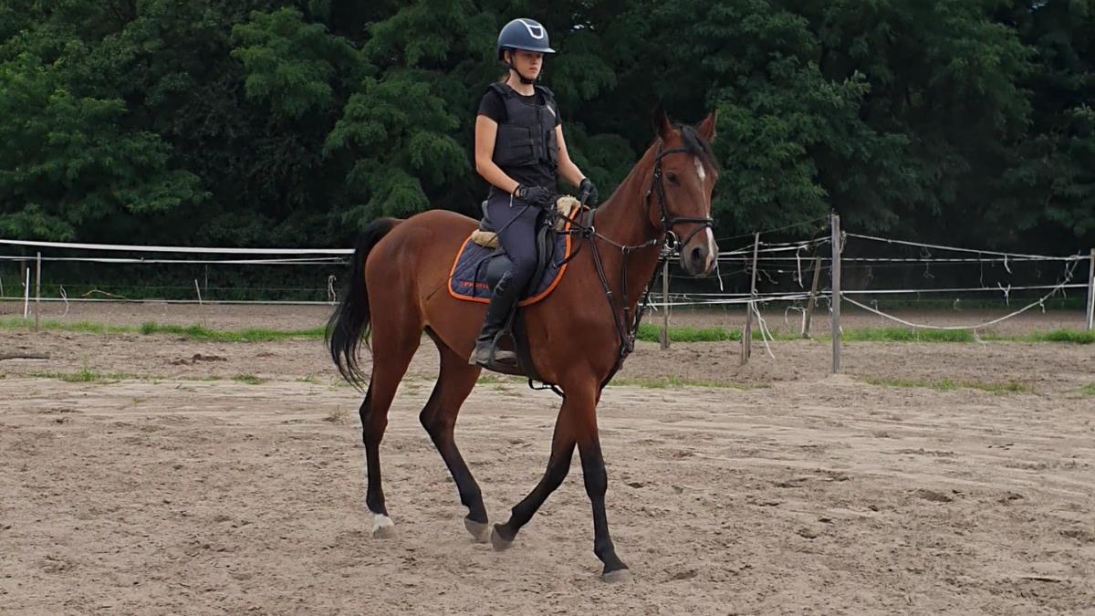 Mooie, jonge ruin - recent gekeurd