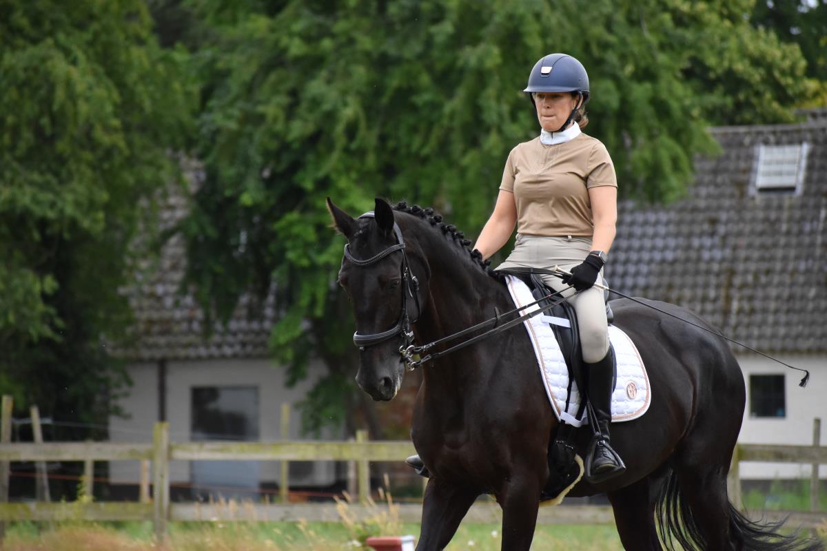 knappe zwarte dressuurmerrie