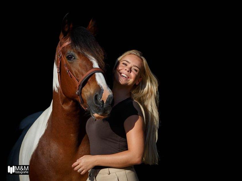 Lieve tinker kruising merrie