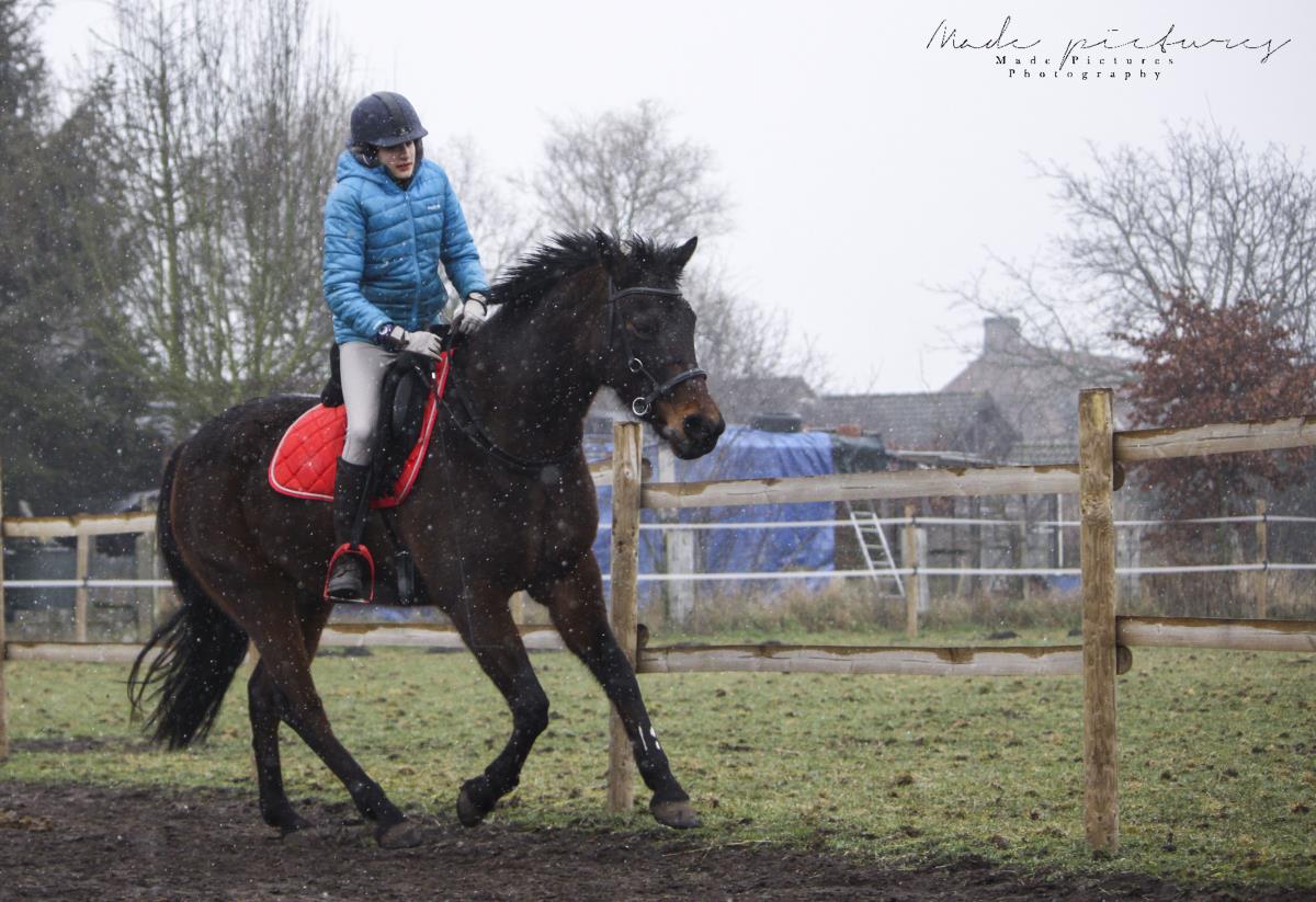 springpony te koop 1m48
