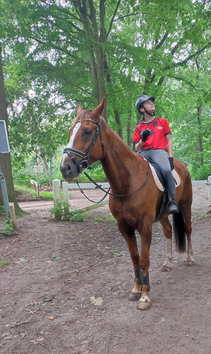 Lieve allrounder