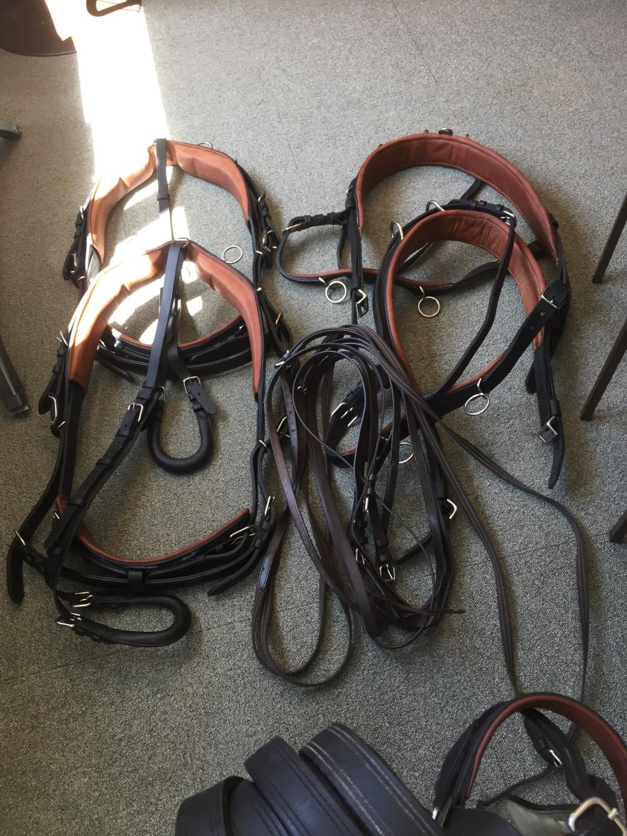 Twee span Ideal Cop Tuig z.g.a.n.