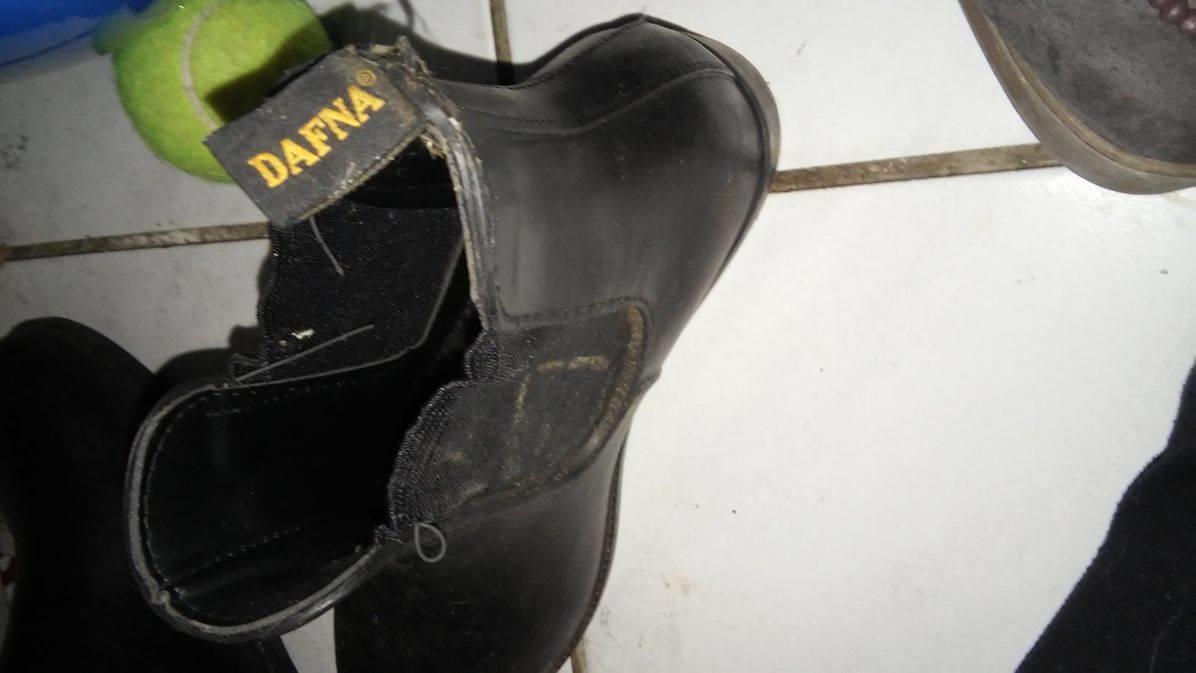 Paard rij spullen te koop