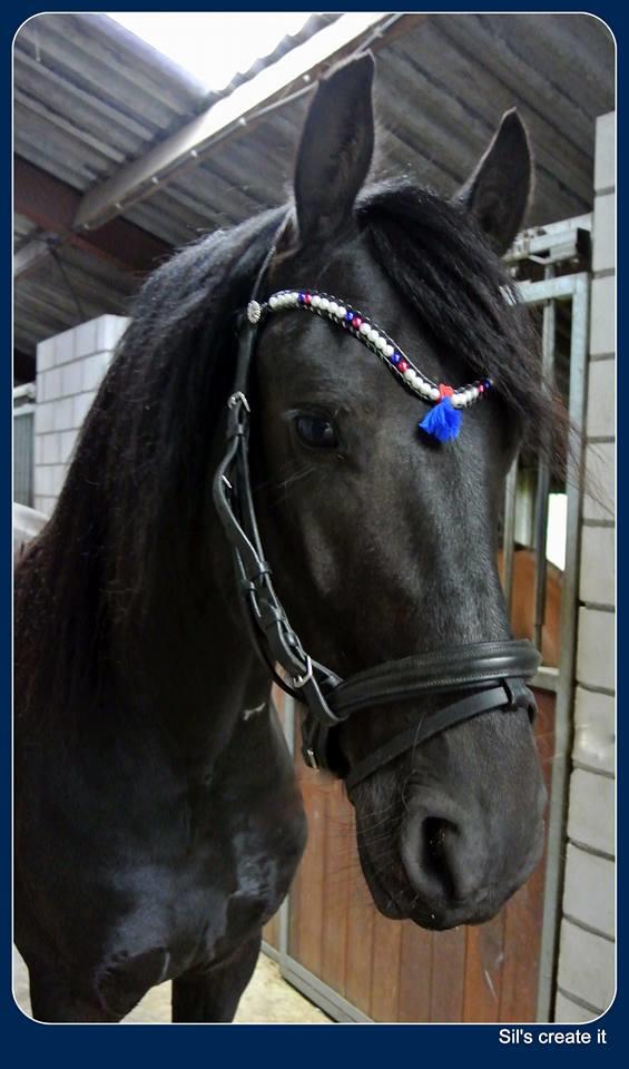 Handgemaakte frontriemen