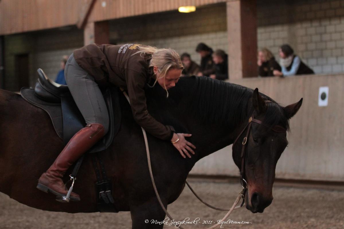 Cursus Parelli van Eef Veenstra met 50% korting!