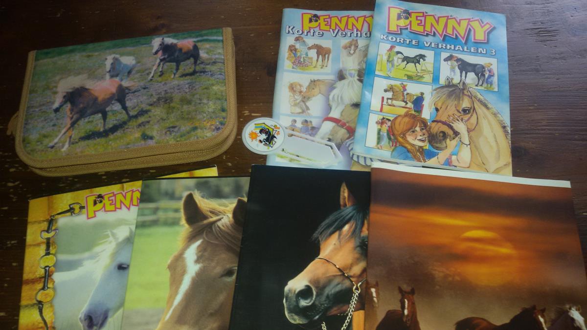 paardenspulletjes
