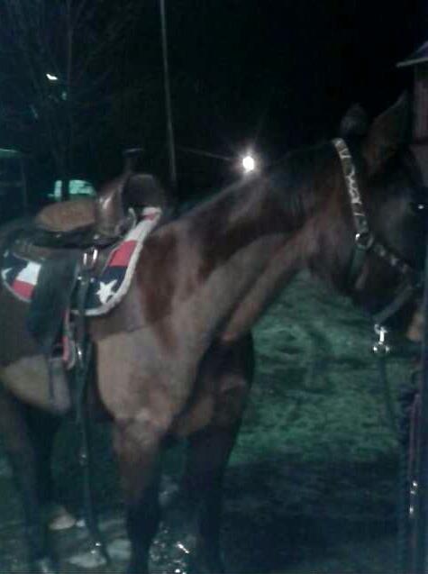 Mooi bruin Western zadel te koop