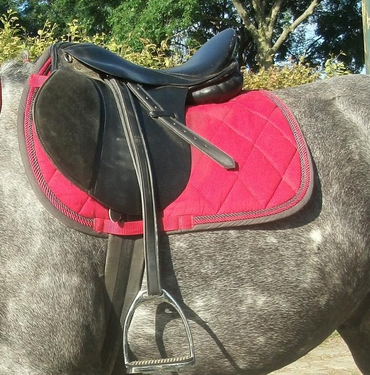 ponyzadel 16 inch