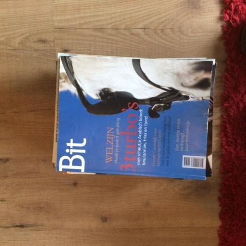 Bit magazines