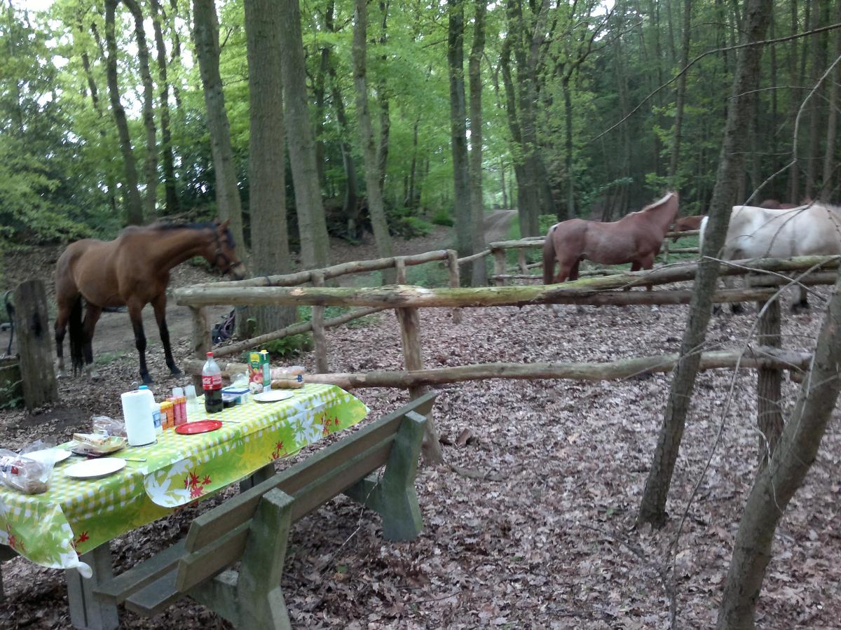 Trektocht Salland