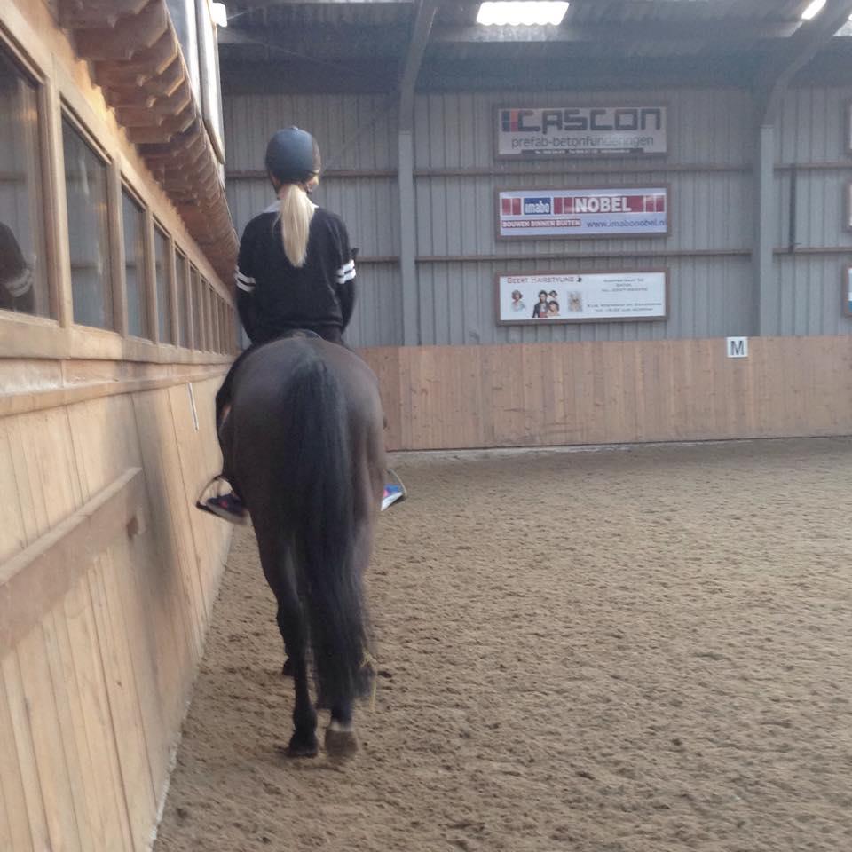 Verzorgpony/paard gezocht!