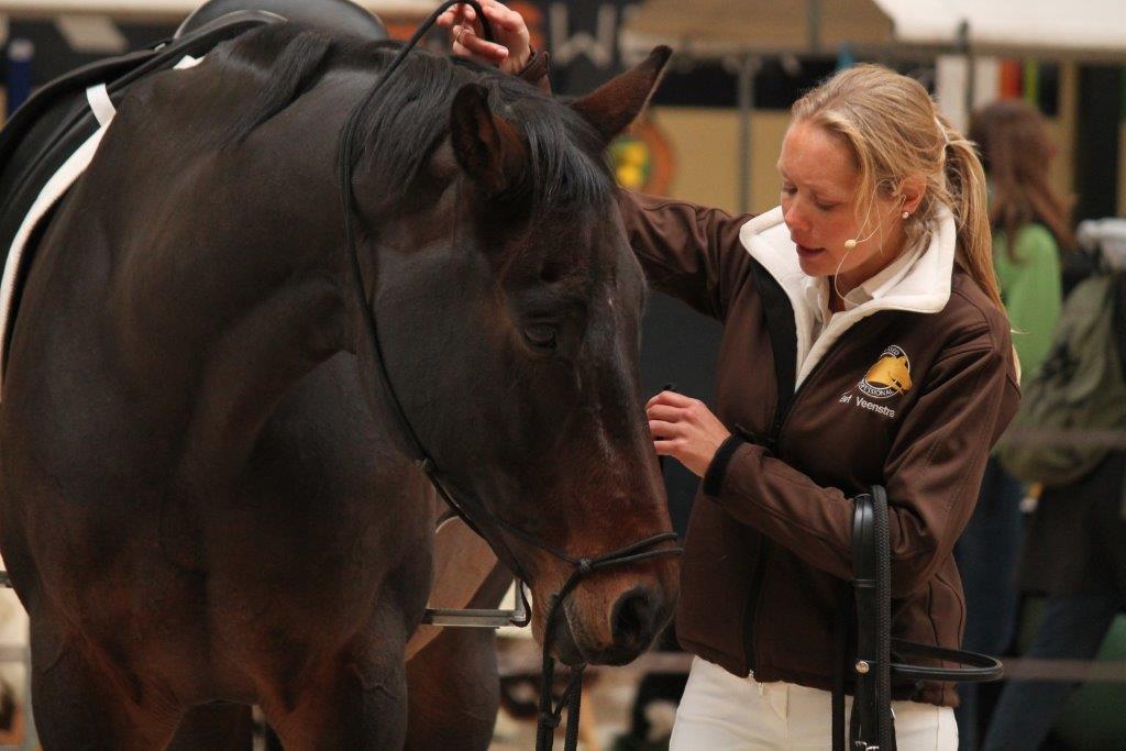 Cursus Parelli van Eef Veenstra met 50% korting! 