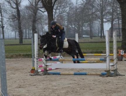 Serieuze amazone zoekt pony's