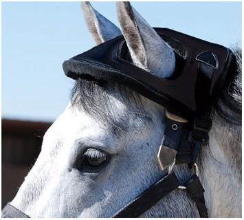 Trailer hoedje (horse helmet)