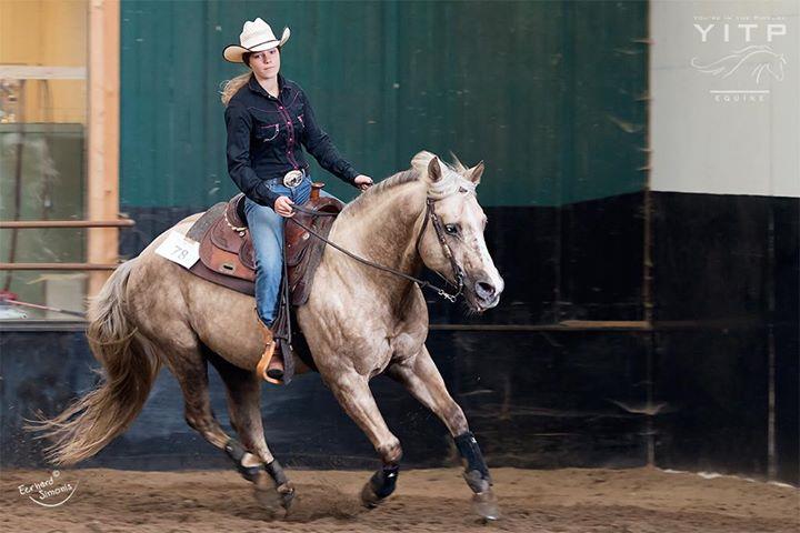 paarden zadelmak maken/trainen,lessen