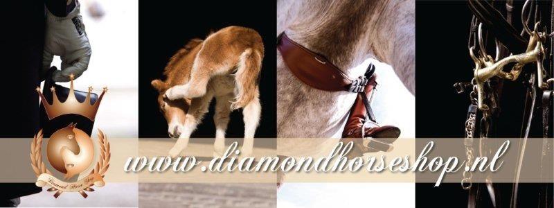 Diamond horse shop alphen aan den Rijn