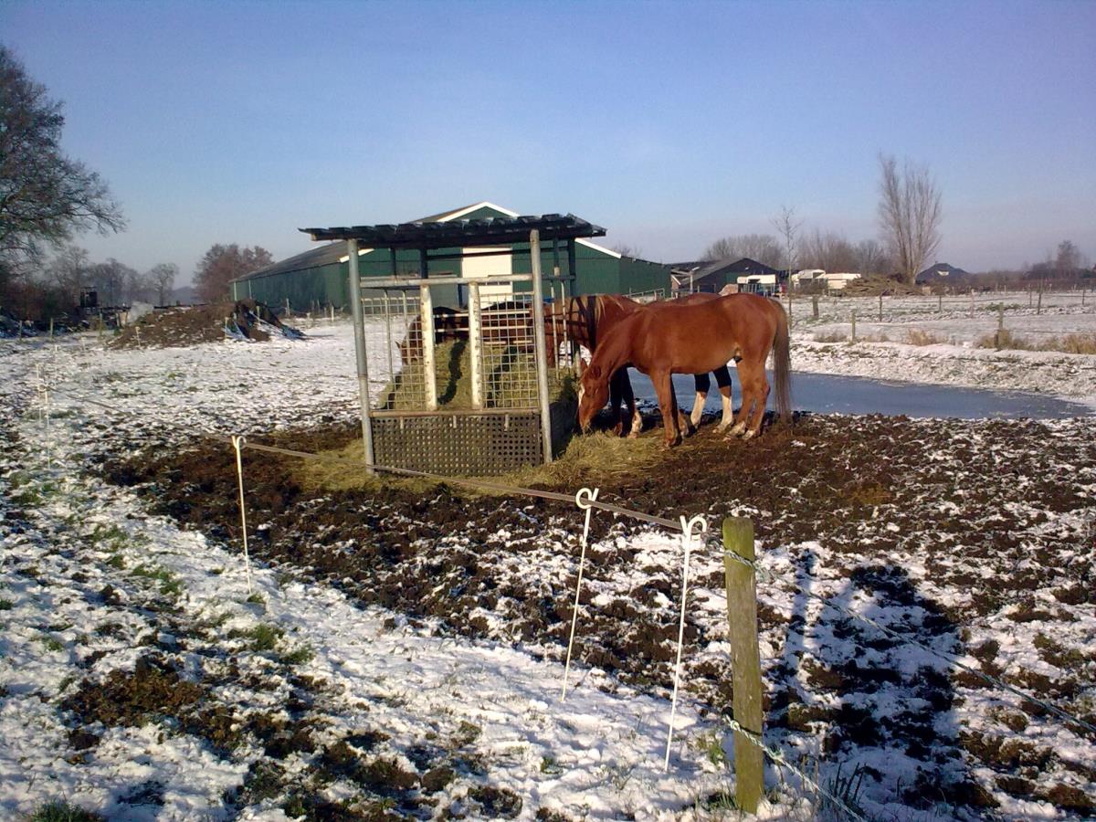 Paddock Paradise