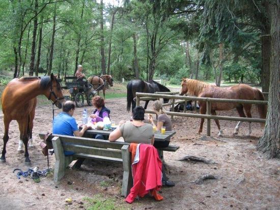 Zin in een onvergetelijk paardrij-avontuur?