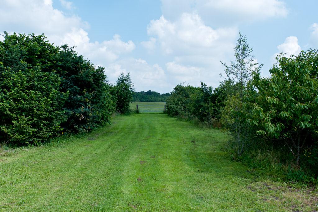 Ruime stallen en dagelijkse weidegang!