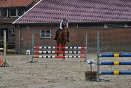 Serieuze amazone zoekt pony's