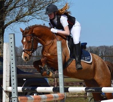 Serieuze amazone zoekt pony's
