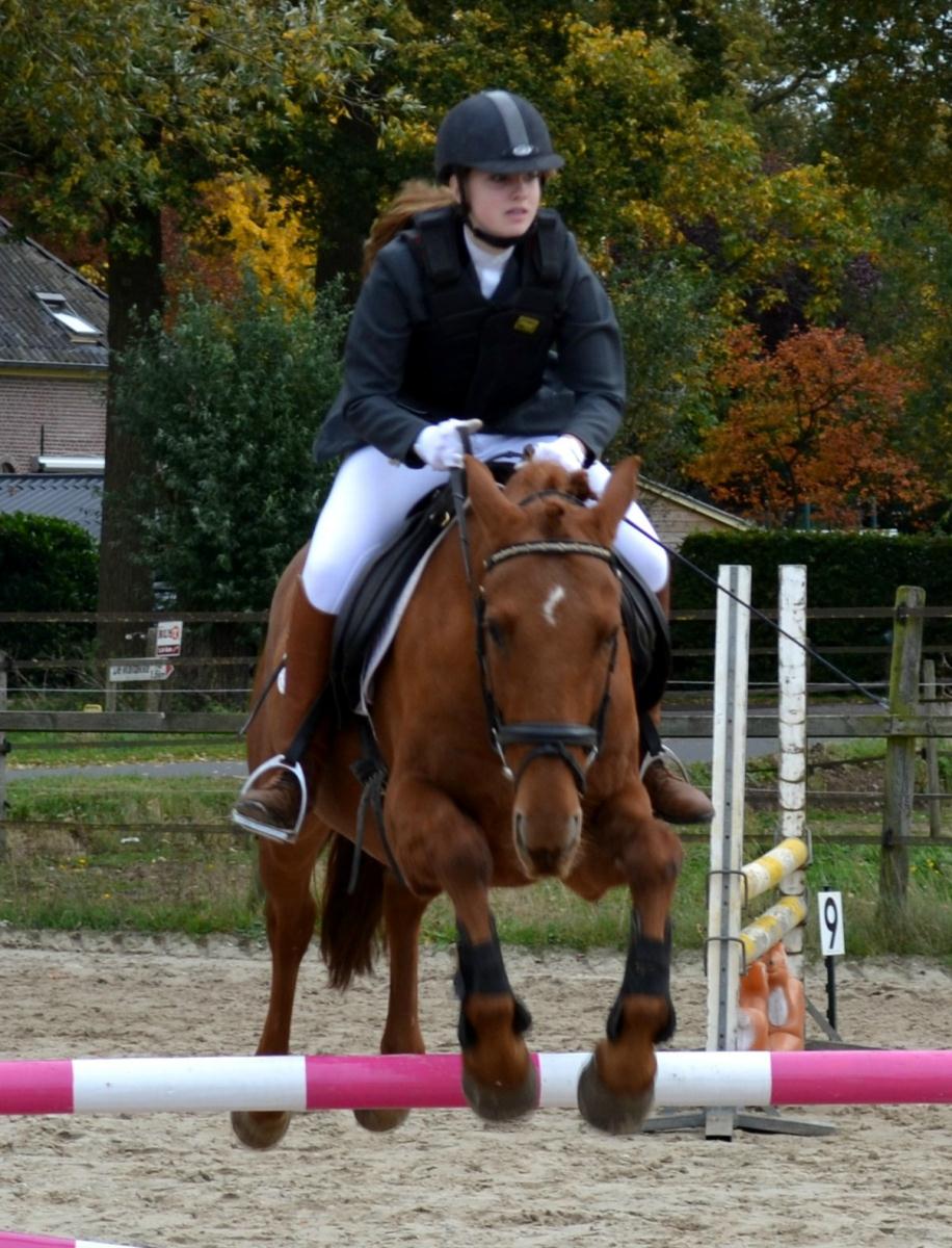 Serieuze amazone zoekt pony's