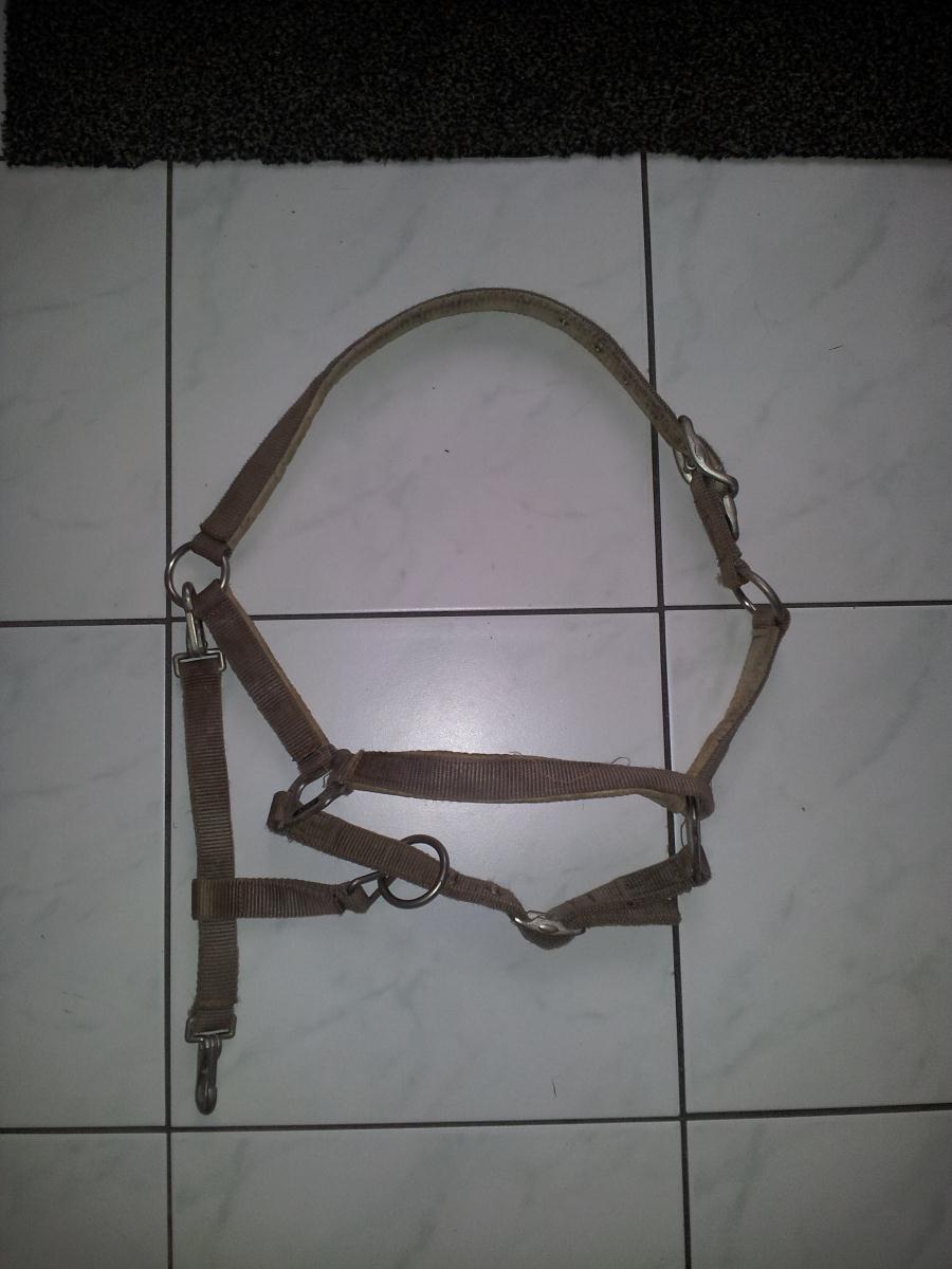 Bruine Anky halster
