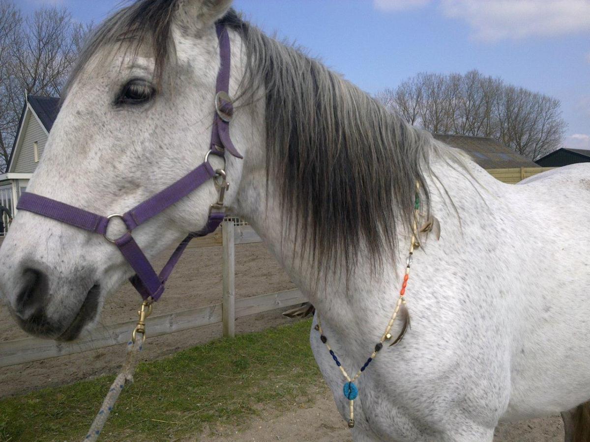 naar wens gemaakte horsebeads