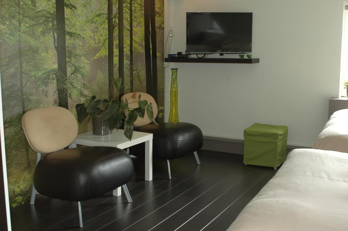 Met uw paard naar een B&B aan het Haringvlietstran