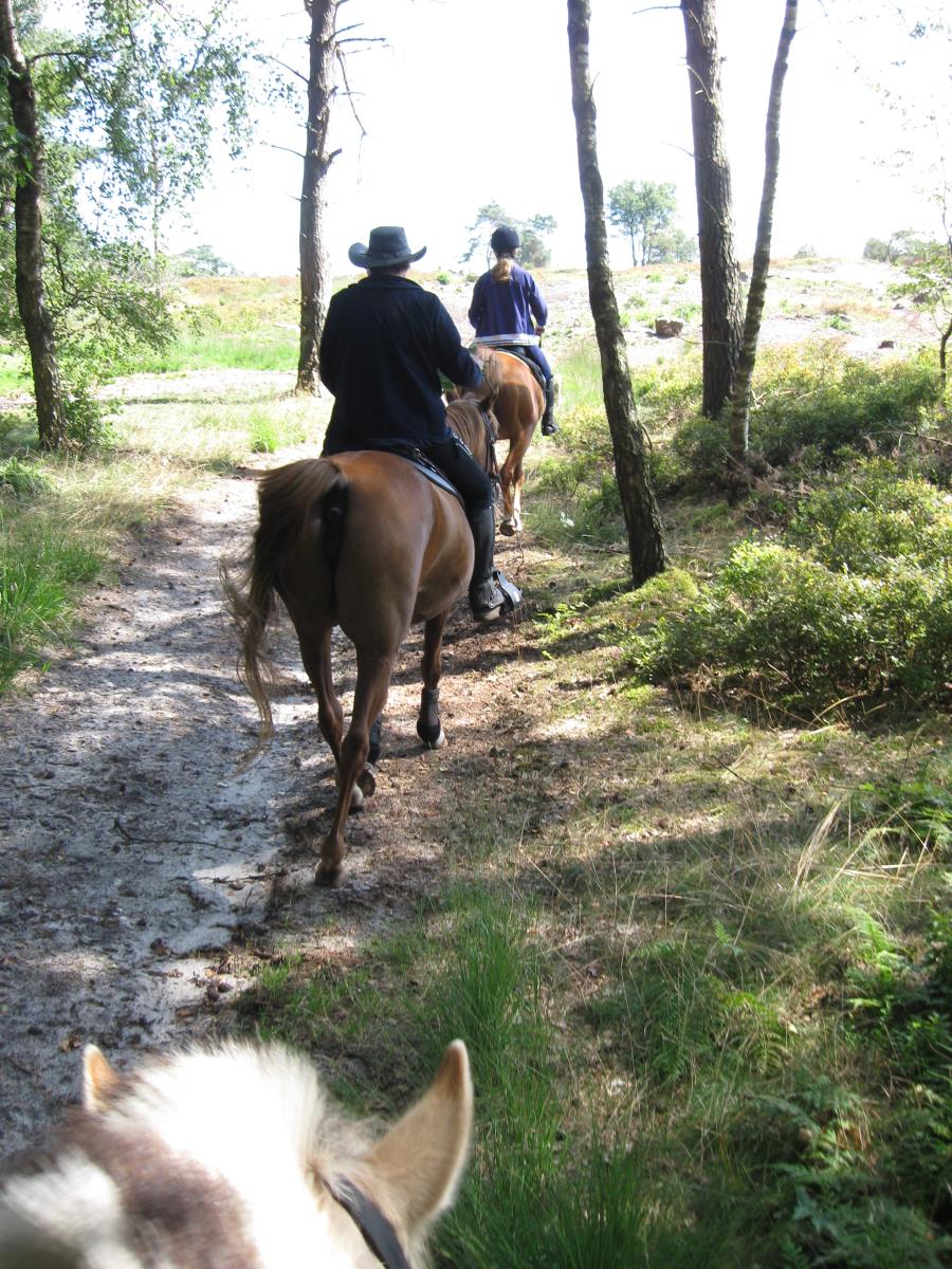 Trektocht Salland