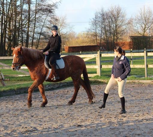 Workshop Centered Riding met 40% Coupony korting!